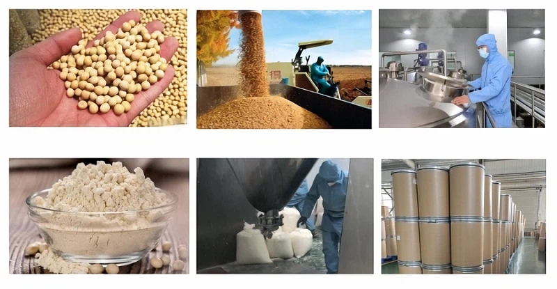 Proteína de soja isolada em pó