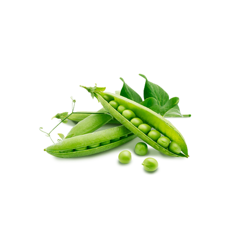 Proteína de ervilha em pó 85%