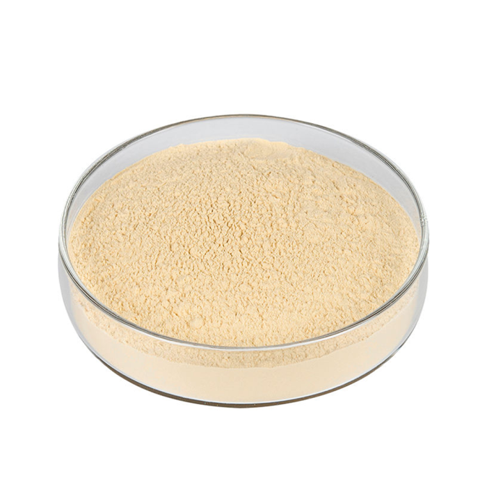 Soy Protein Isolate Powder - Image 3