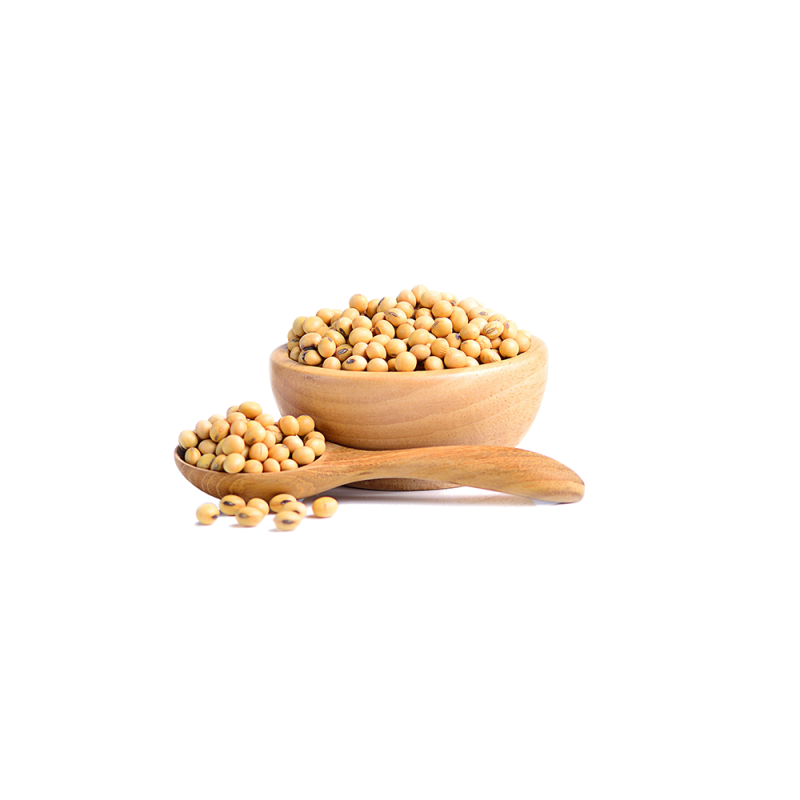 Proteína de soja isolada em pó