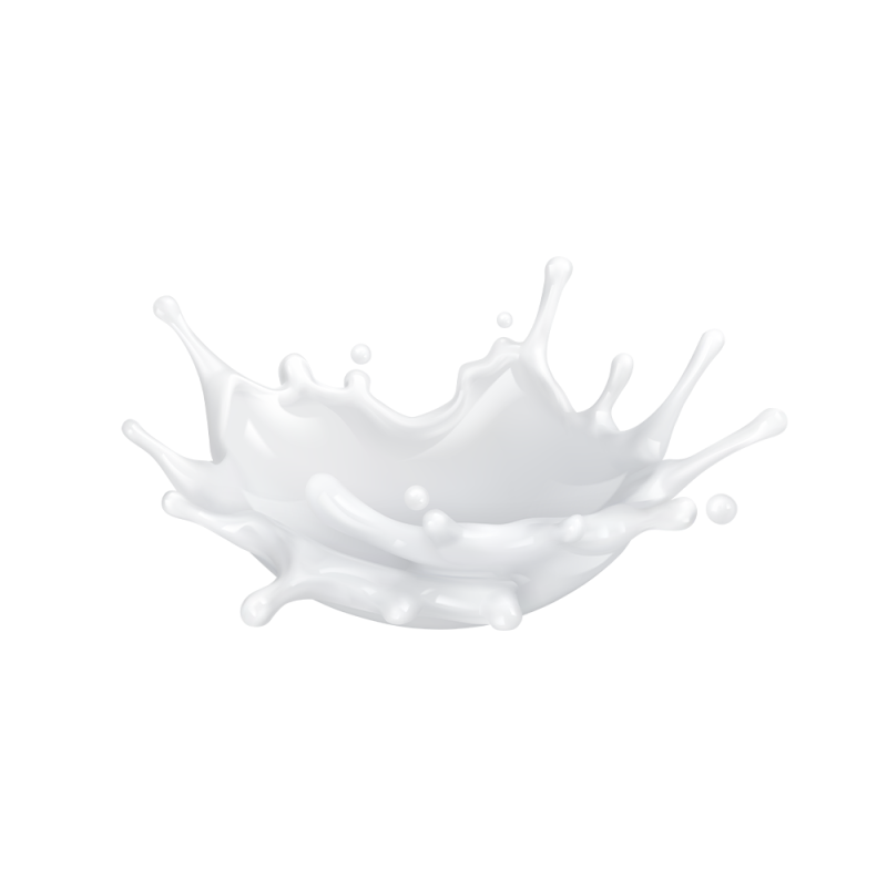 Proteína de soro de leite isolada em pó