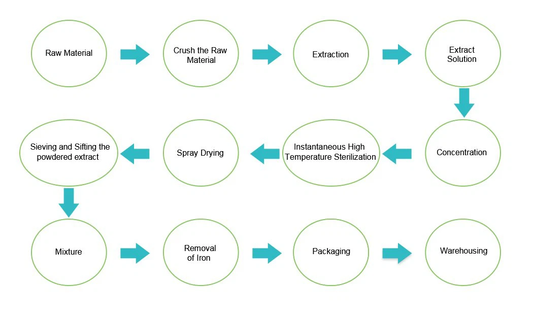 Chromatographic purification process flowchart for beta ecdysterone