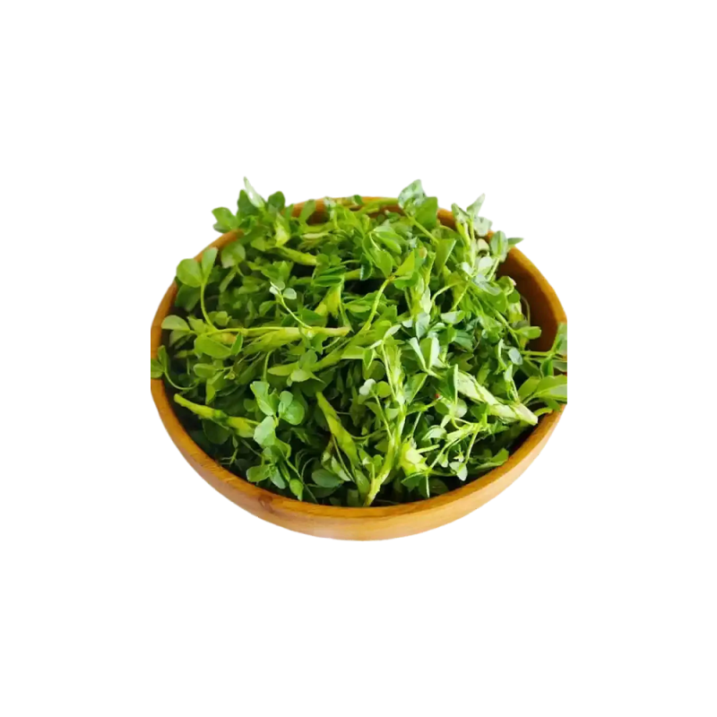Fotografia macro da erva Medicago sativa num campo biológico