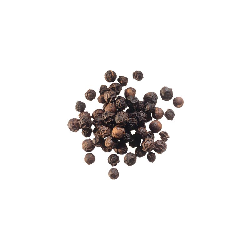 Fotografia macro de drupa de pimenta seca (Piper nigrum)