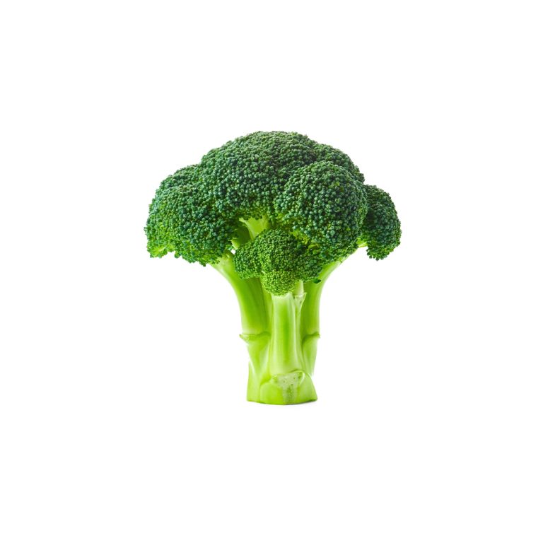Fotografia macro de uma flor fresca de Brassica oleracea var. italica
