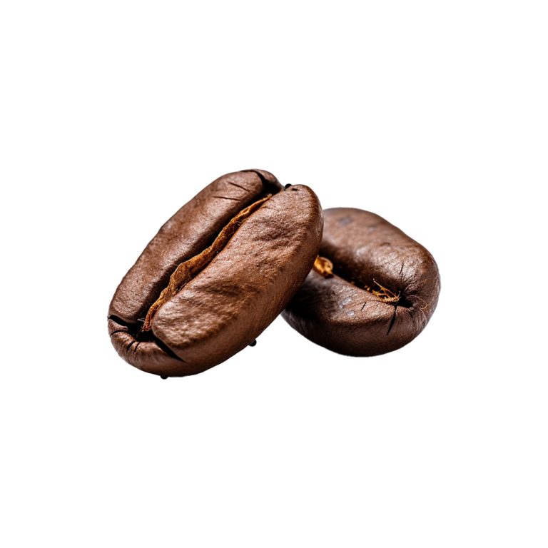 Fotografia macro de pedaços de sementes fermentadas de Theobroma cacao