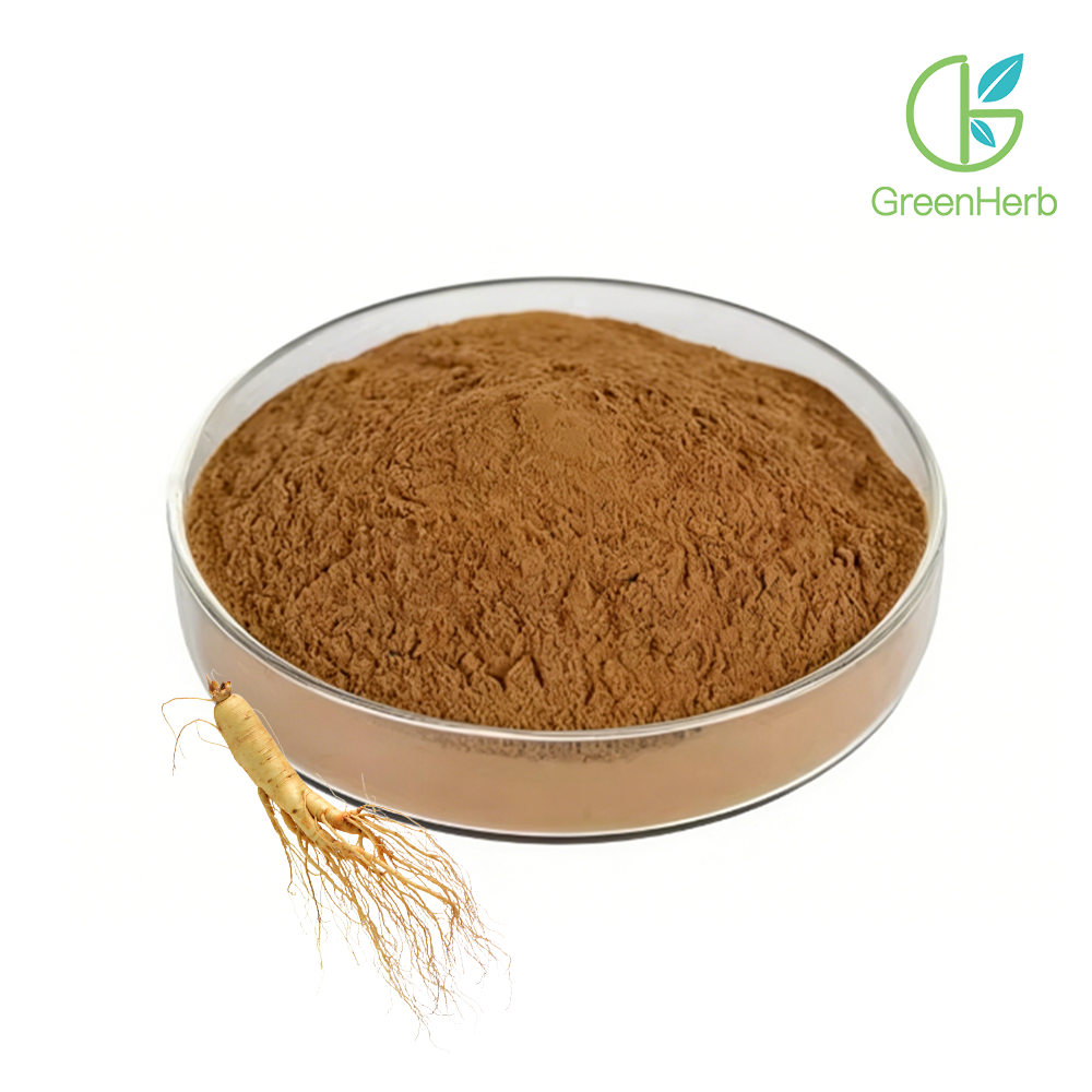 Imagem em grande plano da matéria-prima do ginseng em pó Imagem em grande plano da matéria-prima do ginseng em pó