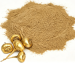 creme em pó de extrato de maca, castanho-amarelado, grande plano
