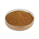 Brown Reishi Mushroom Extract fine powder detail