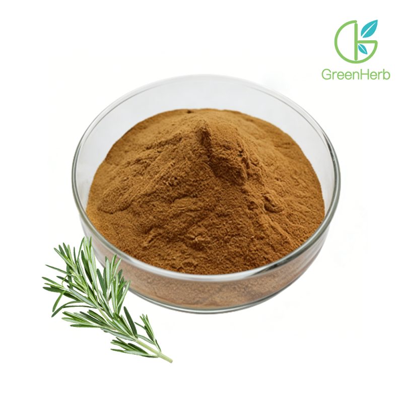 Rosemary Leaf Extract close-up texture detail