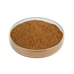 Off-white Magnolia Officinalis Extract fine powder detail