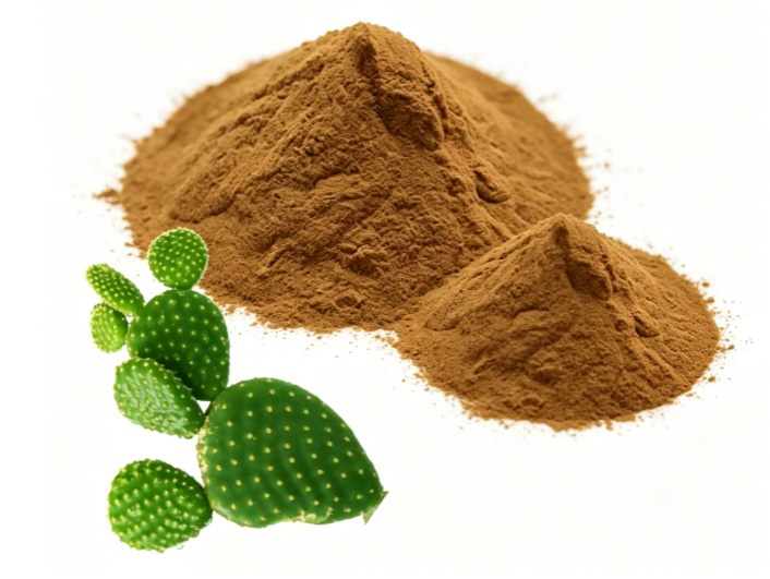 Prickly Pear Cactus Extract close-up texture detail
